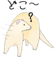 Life of ferrets sticker #4650082