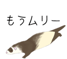 Life of ferrets sticker #4650083