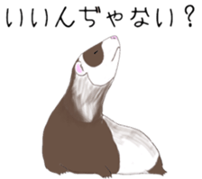 Life of ferrets sticker #4650085