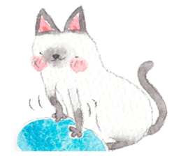 The siamese cat in love sticker #4655014