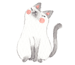 The siamese cat in love sticker #4655040