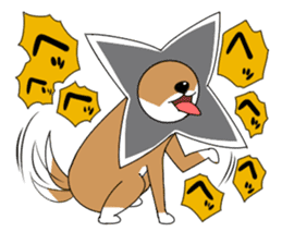 Shuriken dog sticker #4660949