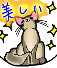 A tidy cat. sticker #4661525