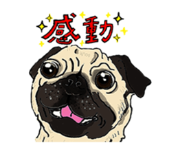 WAIWAI ANIMALS! sticker #4663232