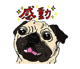 WAIWAI ANIMALS! sticker #4663232