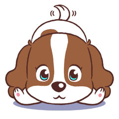 The Cavalier King Charles Spaniel Dog 2.