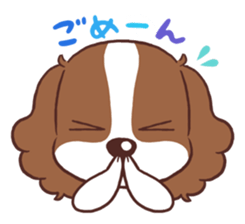 The Cavalier King Charles Spaniel Dog 2. sticker #4664230