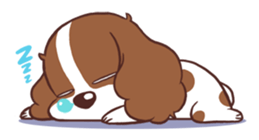 The Cavalier King Charles Spaniel Dog 2. sticker #4664239
