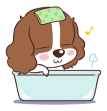 The Cavalier King Charles Spaniel Dog 2. sticker #4664246