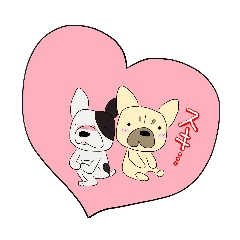 The daily life of a cute French bulldog