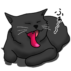 NYANCHU-KOCCHA black cat.