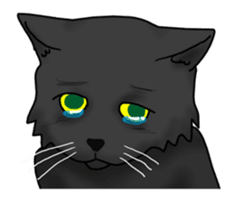 NYANCHU-KOCCHA black cat. sticker #4666122