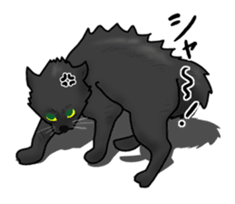 NYANCHU-KOCCHA black cat. sticker #4666127
