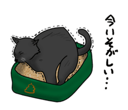 NYANCHU-KOCCHA black cat. sticker #4666130