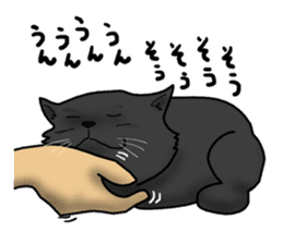 NYANCHU-KOCCHA black cat. sticker #4666133