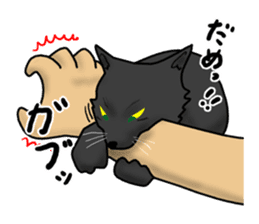 NYANCHU-KOCCHA black cat. sticker #4666134