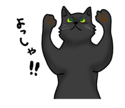 NYANCHU-KOCCHA black cat. sticker #4666147