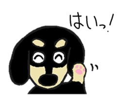 Every day of the dachshund sticker #4666558