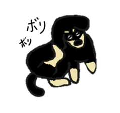 Every day of the dachshund sticker #4666561