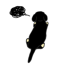 Every day of the dachshund sticker #4666563