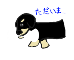 Every day of the dachshund sticker #4666570