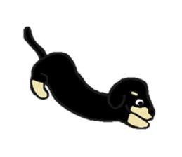 Every day of the dachshund sticker #4666585