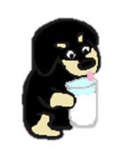 Every day of the dachshund sticker #4666588