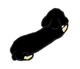 Every day of the dachshund sticker #4666589