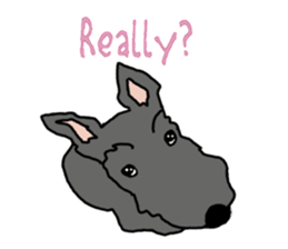 Cute Scottish Terriers sticker #4670038