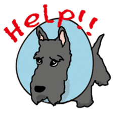 Cute Scottish Terriers sticker #4670044