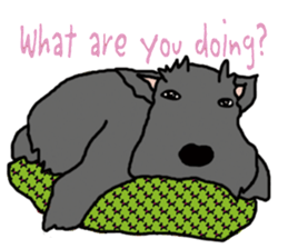 Cute Scottish Terriers sticker #4670051