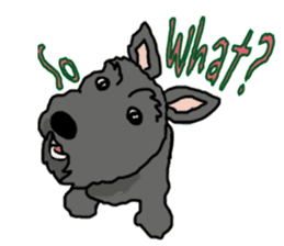 Cute Scottish Terriers sticker #4670055