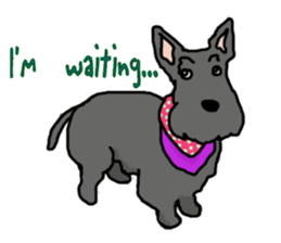 Cute Scottish Terriers sticker #4670064