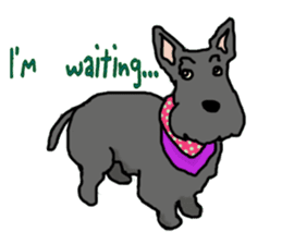 Cute Scottish Terriers sticker #4670064