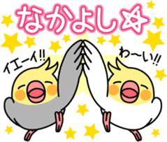 Cockatiel "Okameinko-chi" sticker #4671553