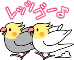 Cockatiel "Okameinko-chi" sticker #4671554