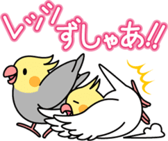 Cockatiel "Okameinko-chi" sticker #4671555