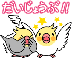 Cockatiel "Okameinko-chi" sticker #4671557
