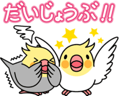Cockatiel "Okameinko-chi" sticker #4671557