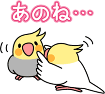 Cockatiel "Okameinko-chi" sticker #4671559