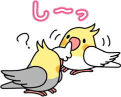 Cockatiel "Okameinko-chi" sticker #4671560