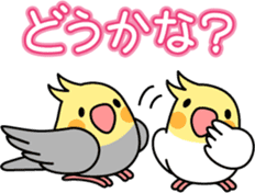 Cockatiel "Okameinko-chi" sticker #4671561