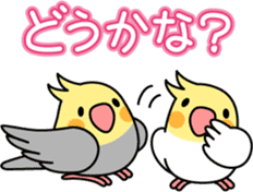 Cockatiel "Okameinko-chi" sticker #4671561