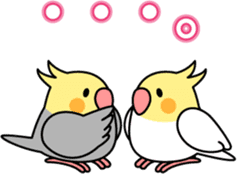Cockatiel "Okameinko-chi" sticker #4671564