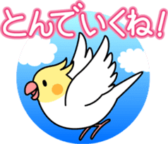 Cockatiel "Okameinko-chi" sticker #4671567