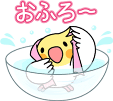 Cockatiel "Okameinko-chi" sticker #4671568