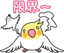 Cockatiel "Okameinko-chi" sticker #4671570