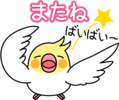 Cockatiel "Okameinko-chi" sticker #4671572