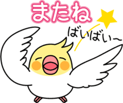 Cockatiel "Okameinko-chi" sticker #4671572