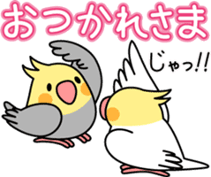 Cockatiel "Okameinko-chi" sticker #4671573